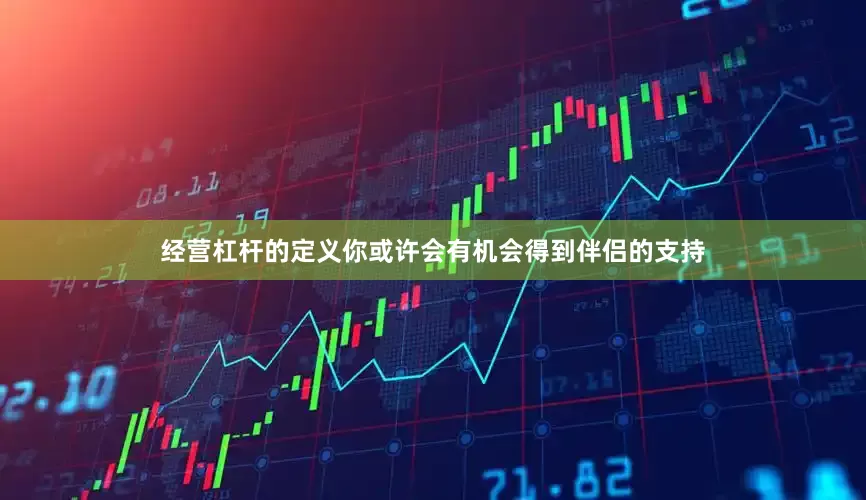 经营杠杆的定义你或许会有机会得到伴侣的支持