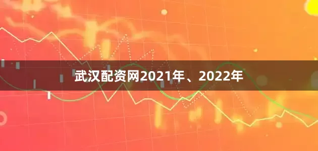 武汉配资网2021年、2022年